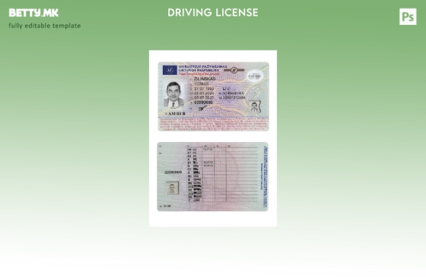 Модерен стил Литванија возачка дозвола присутен шаблон 1